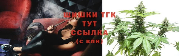 соль ск Верхний Тагил