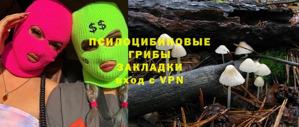 соль ск Верхний Тагил