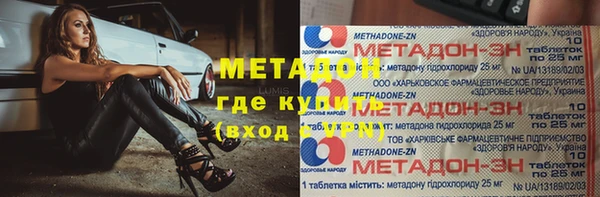 индика Бородино