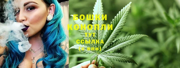 соль ск Верхний Тагил
