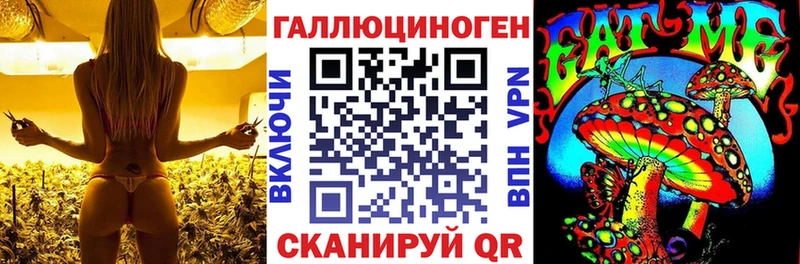 Галлюциногенные грибы Psilocybe Кировск