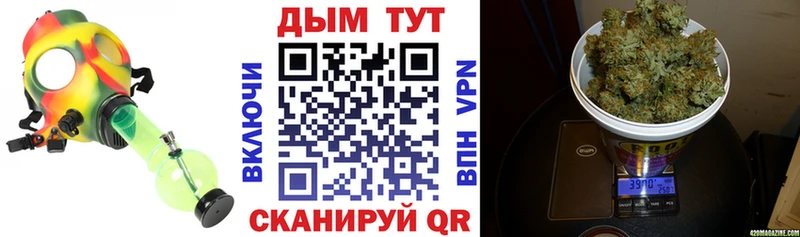 где купить наркоту Кировск Конопля тримм